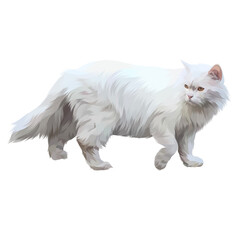 Colorful Detailed Cat Illusration