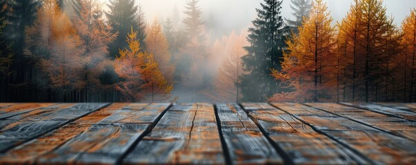 mystical autumn forest emerges from behind a rustic wooden platform, with trees bathed in a soft morning fog.