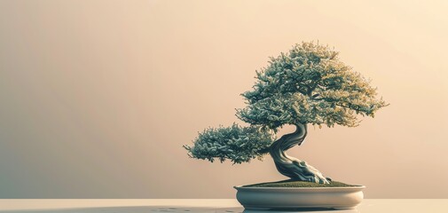 Serene bonsai tree in a sleek pot, minimalistic zen aesthetic, perfect for home or office decor, inspiring tranquility and natural beauty.