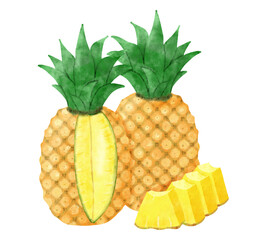 手描き水彩カットパイナップルのイラスト