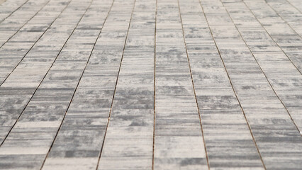 paving path made of gray decorative tiles