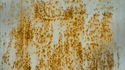 in the photo there is an old rusty metal wall close up