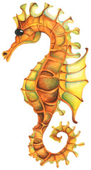 Naklejka premium Colorful tropical fish. Aquarium animals .Watercolor illustration tropical fish. Underwater sealife concept.