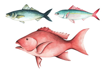 Colorful tropical fish. Aquarium animals .Watercolor illustration tropical fish. Underwater sealife concept.