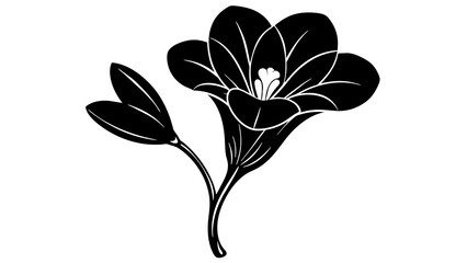 hellebore flower silhouette vector illustration