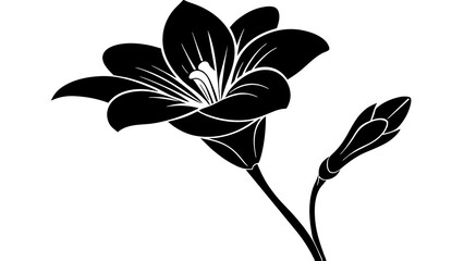 hellebore flower silhouette vector illustration