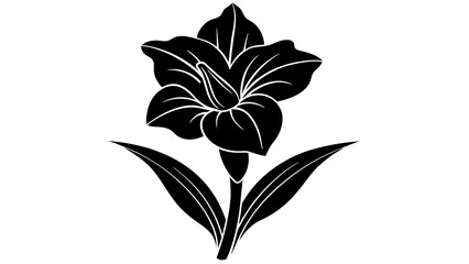 hellebore flower silhouette vector illustration