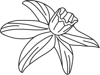 Coloring floral bud