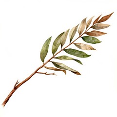 A watercolor of a mesquite leaf