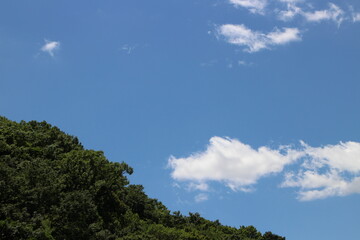 初夏の山　青空ハイキング