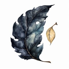 A watercolor of an ebony leaf
