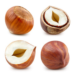 Hazelnut. Fresh organic filbert isolated on white background. Hazelnut collection with clipping...