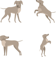 English greyhound icons set cartoon vector. Cute english greyhound character. Pet, animal