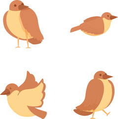 Sparrow icons set cartoon vector. Cute cheerful brown sparrow. Little bird