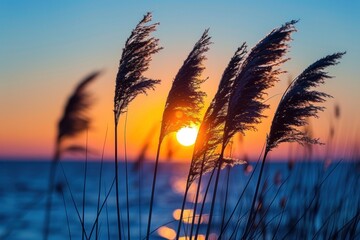 tall grass bending in the wind, silhouetted against the shining horizon of the setting sun, capturing a serene and peaceful moment suitable for wall prints and interior decoration
