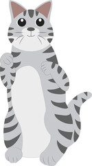 Fototapeta premium Cat cartoon