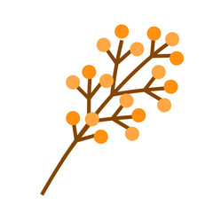 Branch with orange fruit