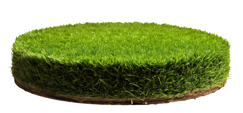 Patch of fresh green lawn grass, cut out