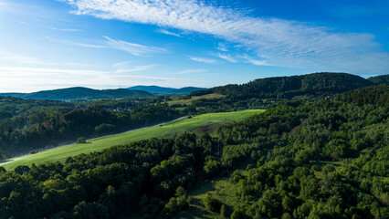 Aerial View of a Lush Green Forest