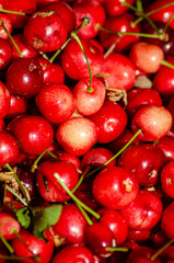 background of organically grown ripe red cherries, spring fruit concept. Selective focus