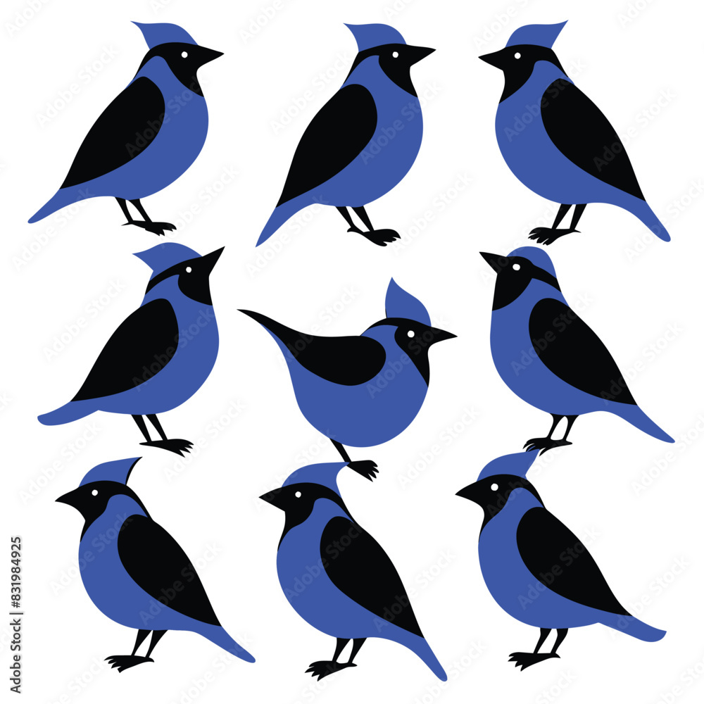 Wall mural Set of Blue Jay animal black silhouettes vector on white background