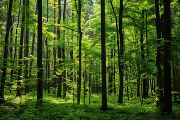 A vibrant forest teeming with a diverse array of trees, creating a lush and green landscape filled with life and tranquility. Generative AI