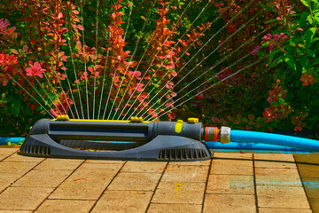  Irrigation system. Gardening,landscaping. Sprinkler watering flowers, hot day