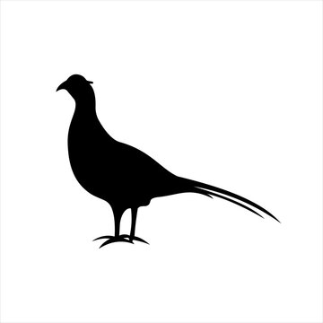 recommend clip art: Pheasant silhouette solid icon vector. The pheasant icon. Hunting concept. Game meat sign on white background. Pheasant meat badge. Hunting illustration. Hunt logo
