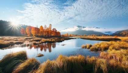 Naklejka premium autumn in the mountains