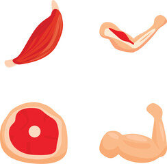 Vector illustration of various cartoon meat cuts including beef, chicken, and pork