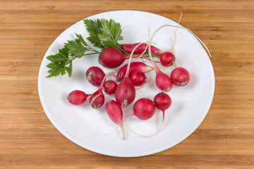 Fresh red radish round shape and parsley twig on dish