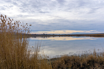 Faded yellow grass on the shore of the lake. Reflection of clouds in water.