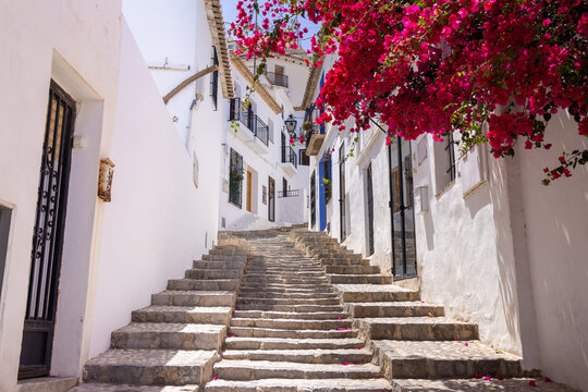 Photo taken in the city of Altea in Spain showing typical Spanish steps with a beautiful red flowering bush and tree hanging over the stairs in the Spanish town