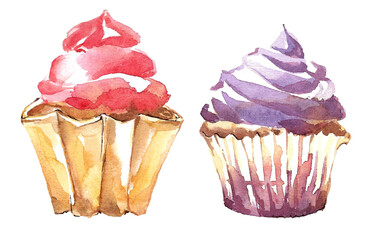 Sweet confectionery. Two cupcakes in paper form with purple and pink cream. Hand drawn watercolor illustration on white background for your design