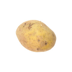 Single raw organic potato isolated on white background