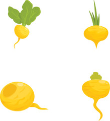 Vibrant set of yellow root vegetable graphics, perfect for various design projects