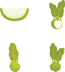 Collection of fresh vegetables illustration set with cucumber, bok choy, and sliced green vegetables in vector graphic design, isolated and editable for cooking, vegan, and ecofriendly agriculture