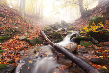 europe, panoramic, autumn, forest, waterfall, river, stream, landscape, background, image, nature,...