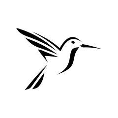 Obraz premium kingfisher bird Vector