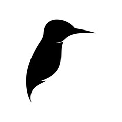kingfisher bird Vector