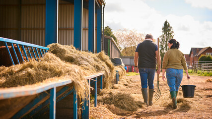 Rear View Of Male And Female Farm Workers Walking Across Yard Past Cattle Barn At Feeding Time