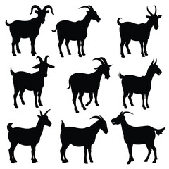 Set of Boer Goat animal black silhouettes vector on white background