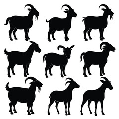 Set of Boer Goat animal black silhouettes vector on white background