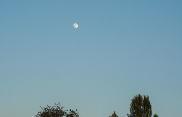 The moon in the blue sky above the trees