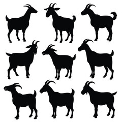 Set of Boer Goat animal black silhouettes vector on white background