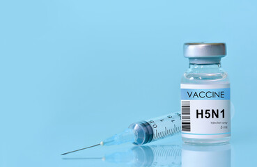 Vaccine vial of H5N1 in a bottle with a syringe on a blue background. Bird flu vaccine. The concept of medicine, healthcare and science. Copy space for text. Banner