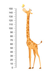 Funny giraffe. Cheerful funny giraffe with long neck. Giraffe meter wall or height chart or wall sticker. Illustration with scale from 0 to 150 centimeter to measure growth © the8monkey