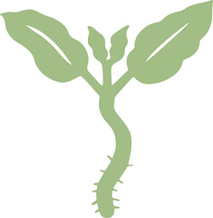 cute cartoon plant illustration