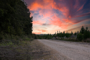 Sunset in the Tarkine, Tasmania With Spectacular Sky