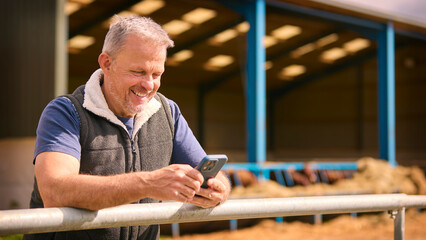 Mature Male Farm Worker Standing Outside Barn Checking Mobile Phone